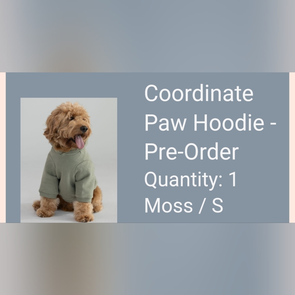 Coordinated Paw Hoodie for Dogs - Moss Green